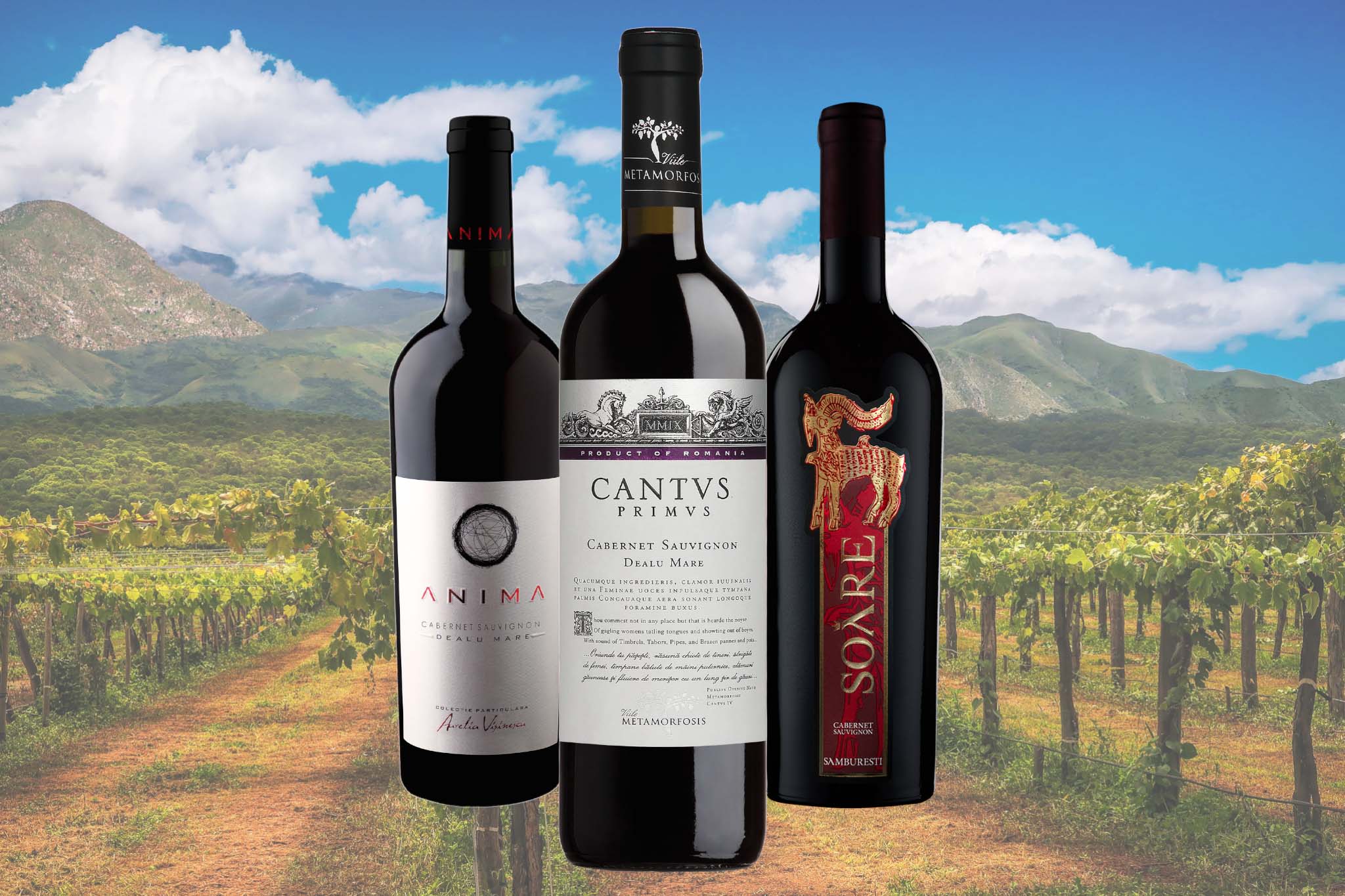 2~3本ワインセット– Daniel's Wine Club