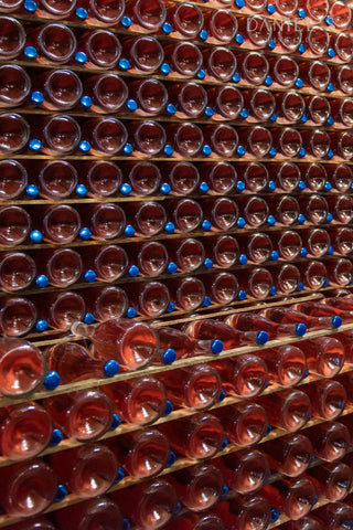 スチンティ・ブリュット・ロゼ・シラー | Scintti Brut Roze Syrah | 日本初上陸予定: 2025年11月