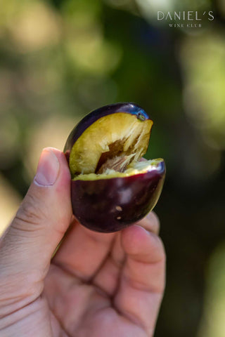 Raureni Magiun de Prune 350g