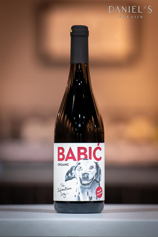The Dalmatian Dog Babic 2018