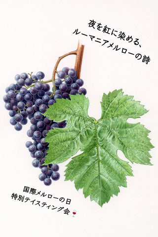 2025.11.07 (金) 石川町校 | 国際メルロの日 特別テイスティング会