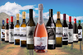 午年と馬ワイン