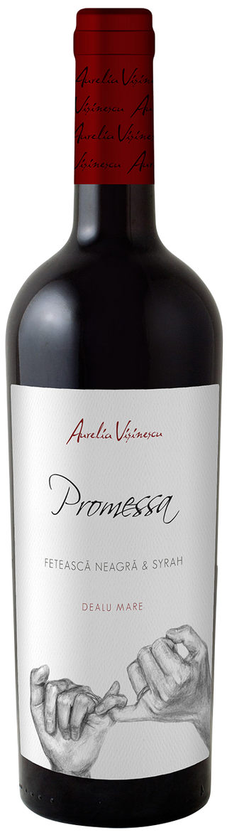 Promessa Feteasca Neagra & Syrah 2020