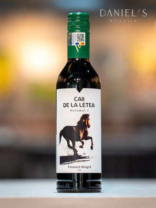 カーイ・デ・ラ・レテア Vol.1 フェテアスカ・ネアグラ 2019年 ハーフボトル (375 ml) | 赤ワイン