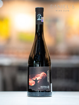 Ammos Red 2020 / Wild Yeast-Fermented Wine / Vegan-Certified