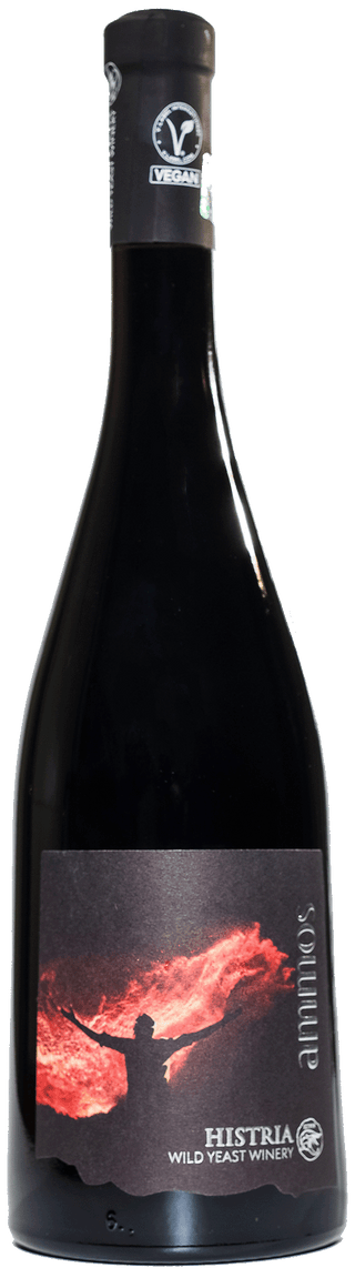 Ammos Red 2020 / Wild Yeast-Fermented Wine / Vegan-Certified