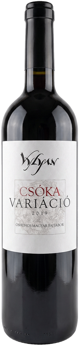 Vylyan Csoka 2019 | Vin roșu