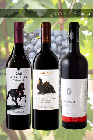  Fetească Neagră, the grape with a thousand faces / three-bottle bundle / 15% OFF