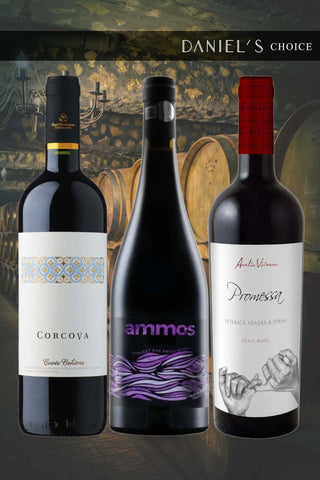 Romanian blended reds / three-bottle bundle / 10% off
