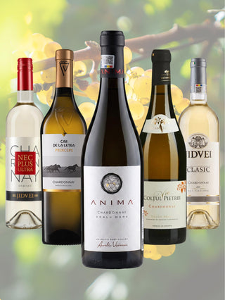 Să ne bucurăm de versatilitatea soiului Chardonnay | set de 5 sticle