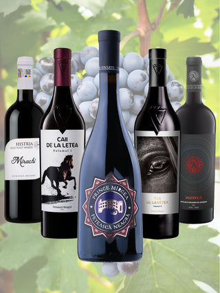 Feteasca neagră, soiul cu o mie de fețe | set 5 sticle