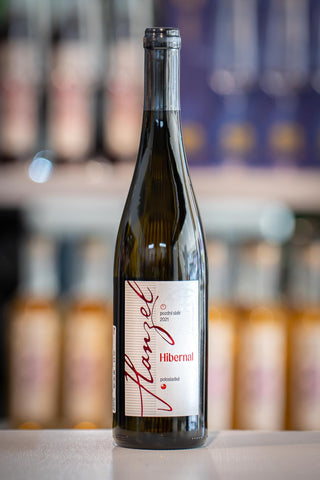 Hanzel Hibernal 2021