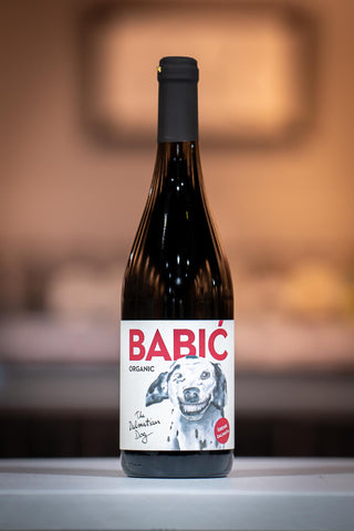 The Dalmatian Dog Babic 2018