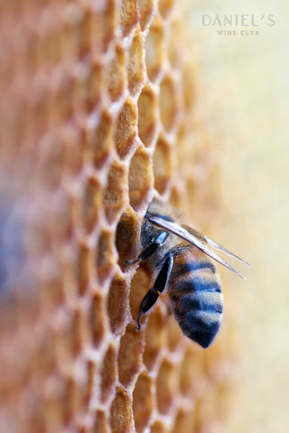 ルーマニア産天然菩提樹はちみつ / Romanian Natural Linden Honey 250g