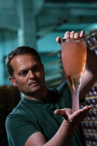 スチンティ・ブリュット・ロゼ・シラー | Scintti Brut Roze Syrah | 日本初上陸予定: 2025年11月