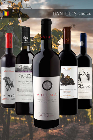 Enjoy Romanian Cabernet / an awesome 5-bottle bundle / 10% OFF